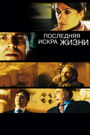 Последняя искра жизни онлайн