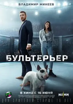Бультерьер онлайн