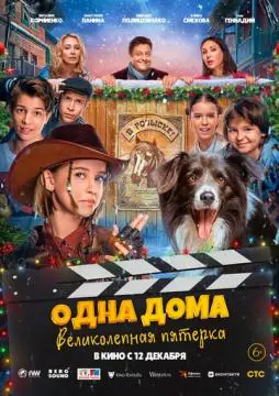 Одна дома: Великолепная пятерка онлайн